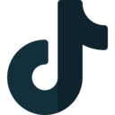 linkedin Tiktok